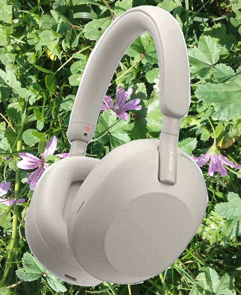 Guía para comprar un  Gadget